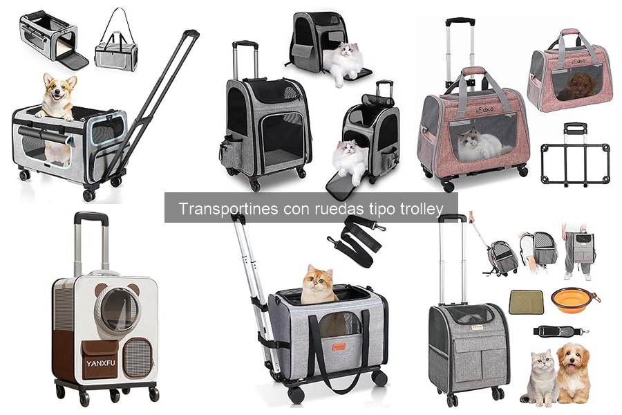 Alternativas a los transportines con ruedas para mascotas