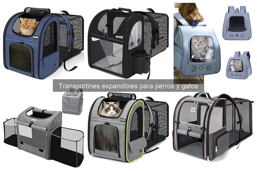 Alternativas a los transportines expandibles para mascotas