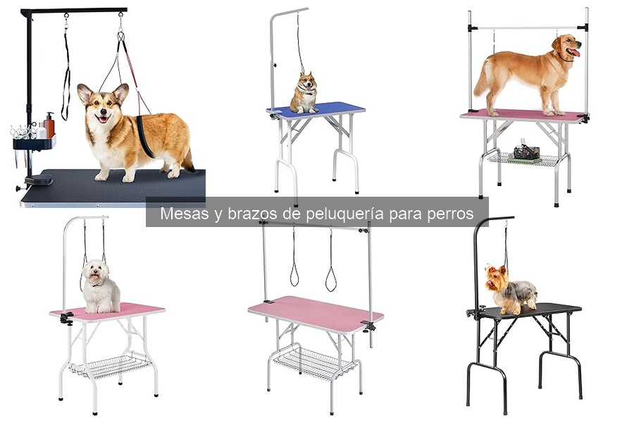 Alternativas a mesas de peluquería para perros: opciones efectivas