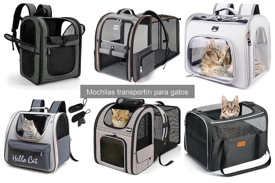Alternativas a mochilas transportín para gatos: guía completa