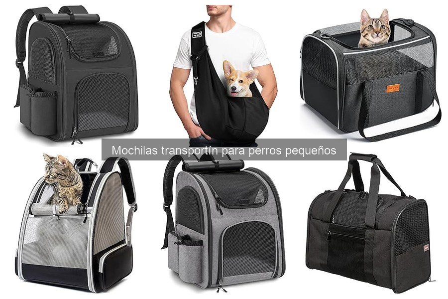 Alternativas a mochilas transportín para perros pequeños