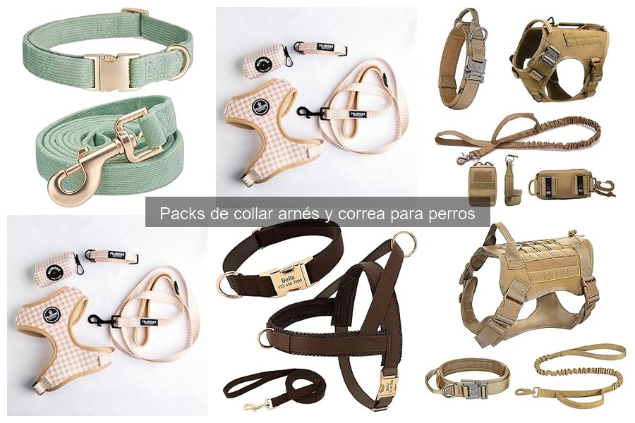 Alternativas a Packs de Collar, Arnés y Correa para Perros
