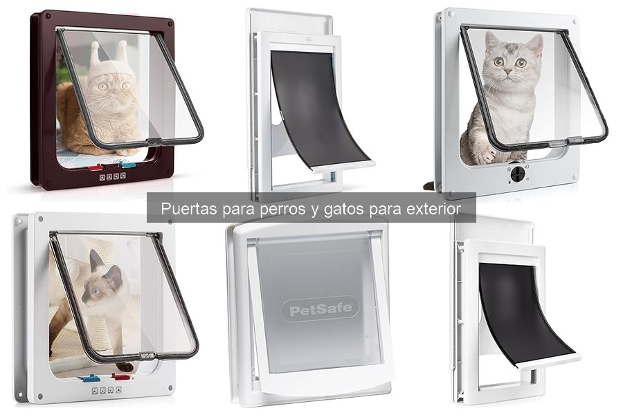 Alternativas a puertas para perros y gatos: opciones útiles