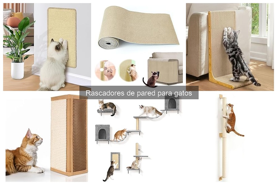 Alternativas a rascadores de pared para gatos | Mejores opciones