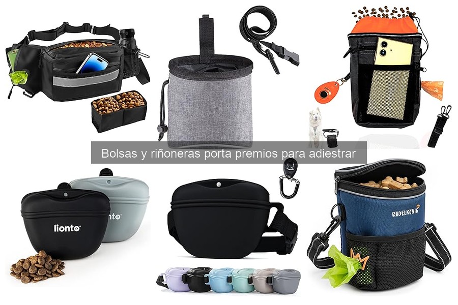 Alternativas a riñoneras para adiestrar perros: ¡Descúbrelas!