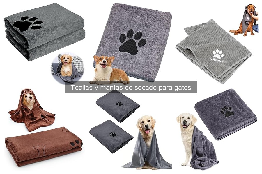 Alternativas a toallas y mantas de secado para gatos