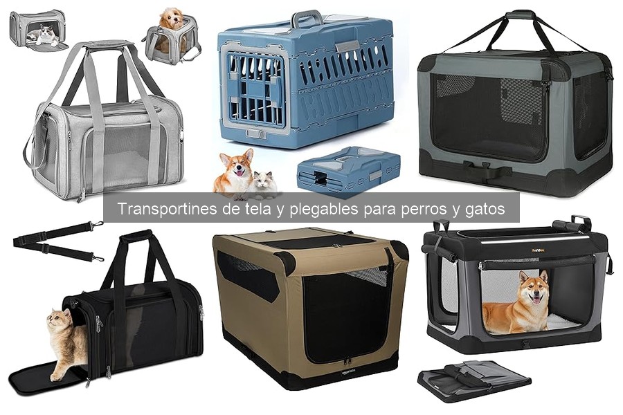 Alternativas a transportines de tela para gatos: 5 mejores opciones