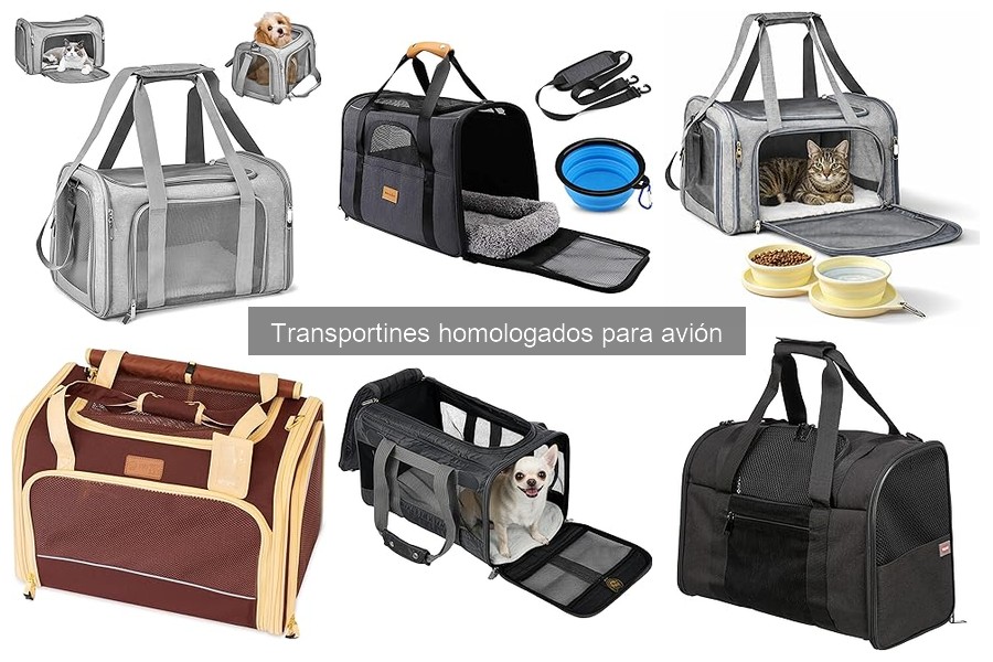 Alternativas a transportines homologados para viajar en avión
