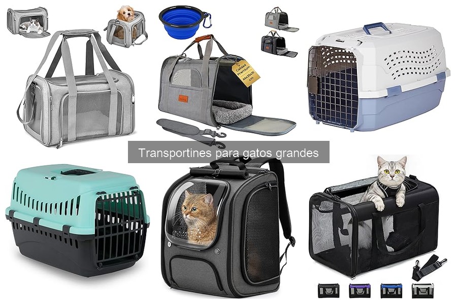 Alternativas a transportines para gatos grandes: descubre opciones
