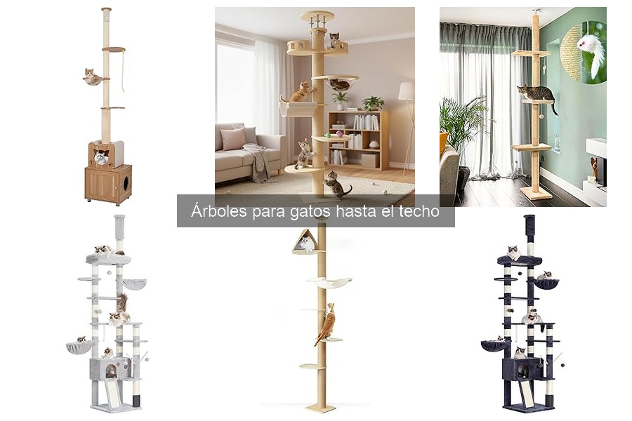 Alternativas al árbol para gatos hasta el techo