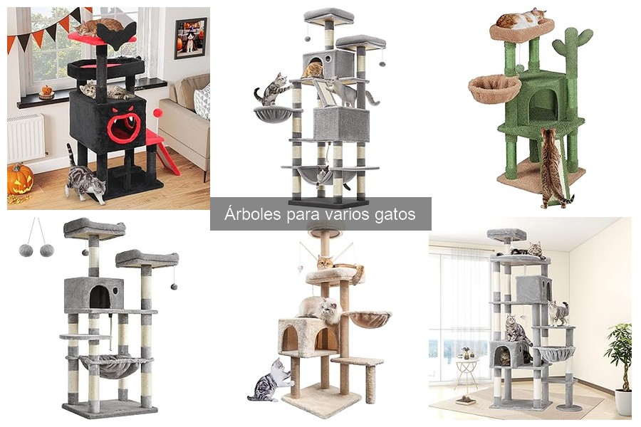 Alternativas al árbol para gatos: opciones creativas y prácticas