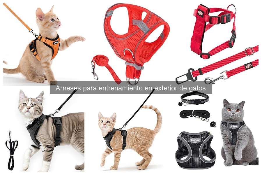 Alternativas al arnés para gatos: Soluciones efectivas