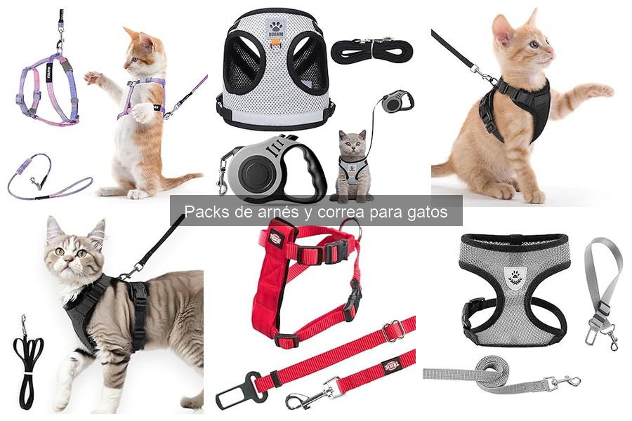 Alternativas al arnés y correa para gatos: Soluciones útiles