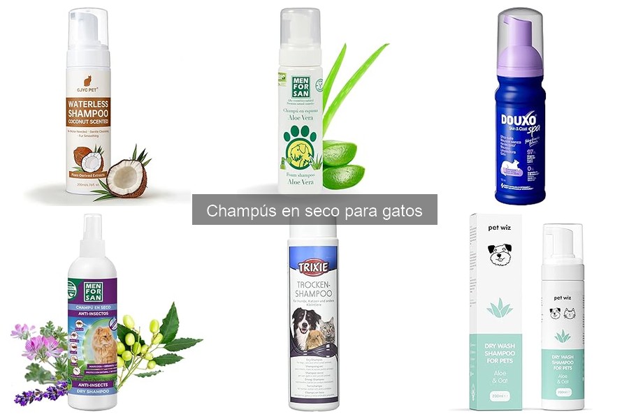 Alternativas al Champú en Seco para Gatos: Opciones Prácticas