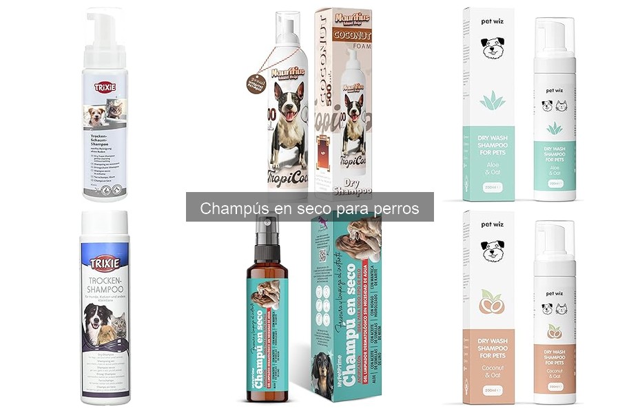 Alternativas al champú en seco para perros: opciones efectivas