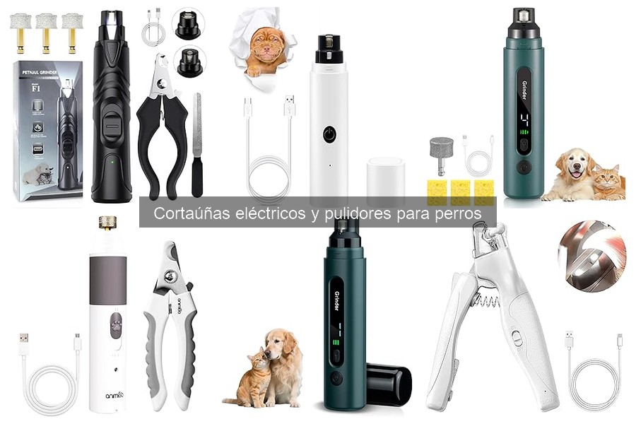 Alternativas al cortaúñas eléctrico para perros