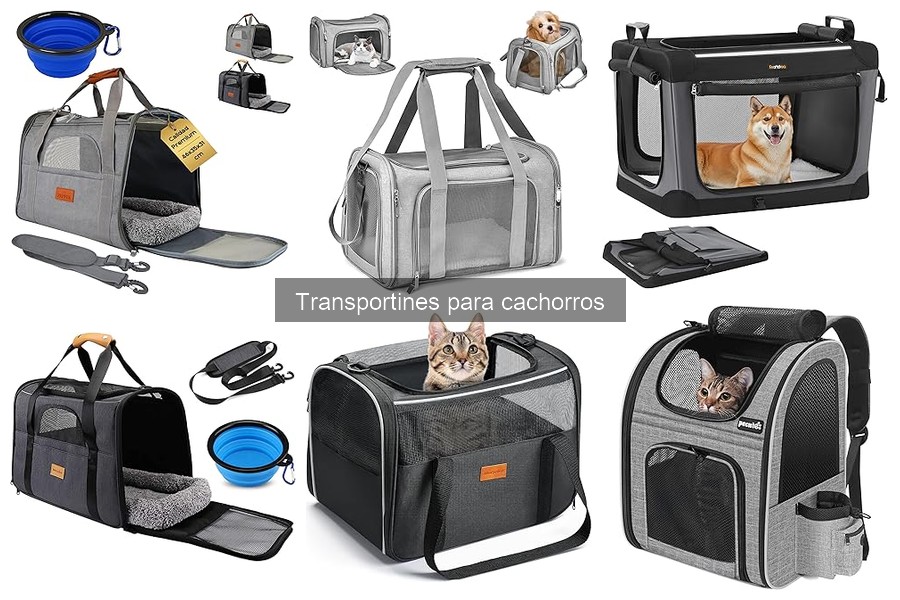 Alternativas al transportín para cachorros: ¡descubre opciones!