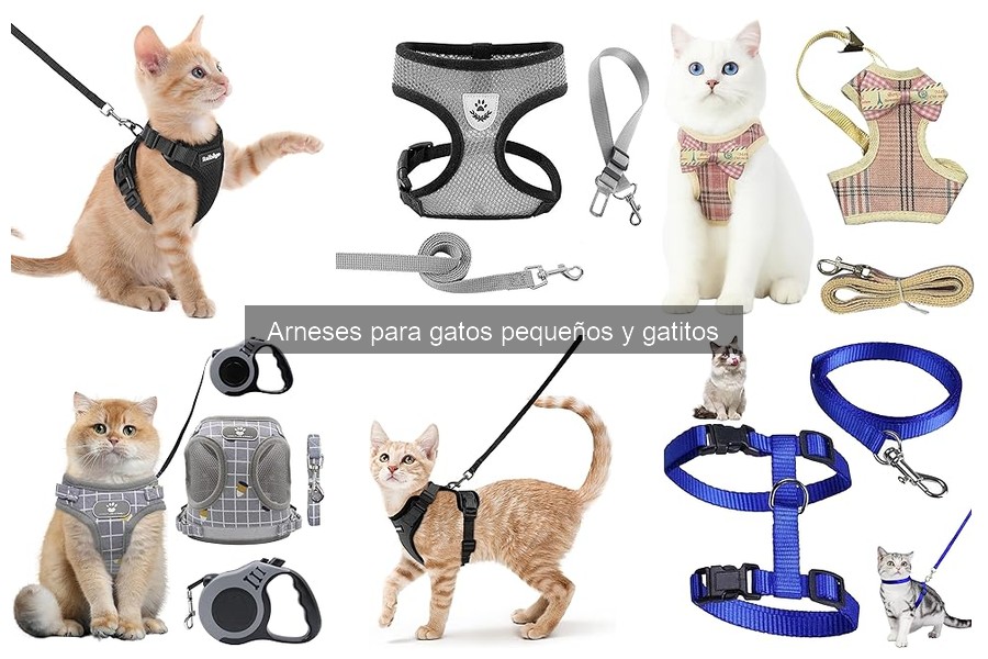 Alternativas cómodas al arnés para gatos pequeños