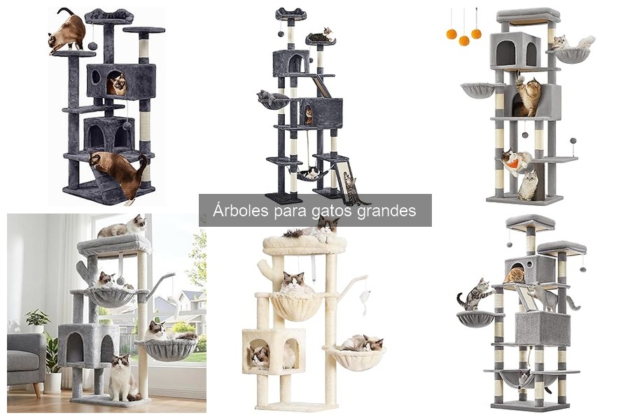 Alternativas Creativas a los Árboles para Gatos Grandes
