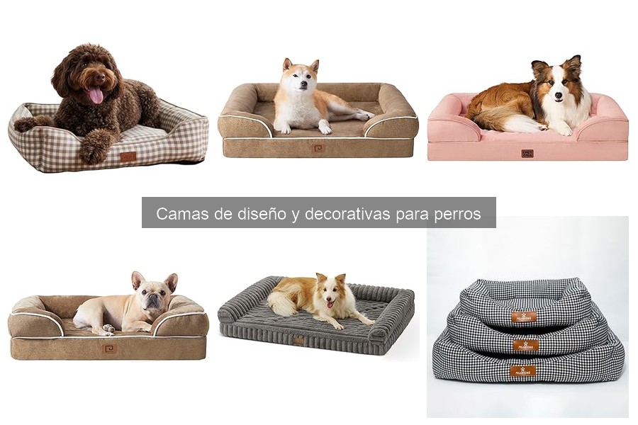 Alternativas económicas a camas decorativas para perros