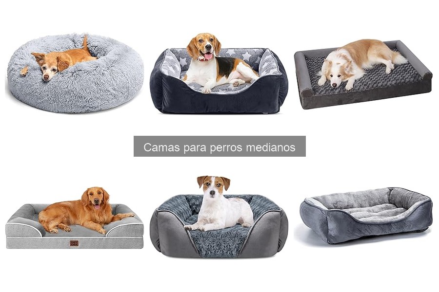 Alternativas económicas a camas para perros medianos