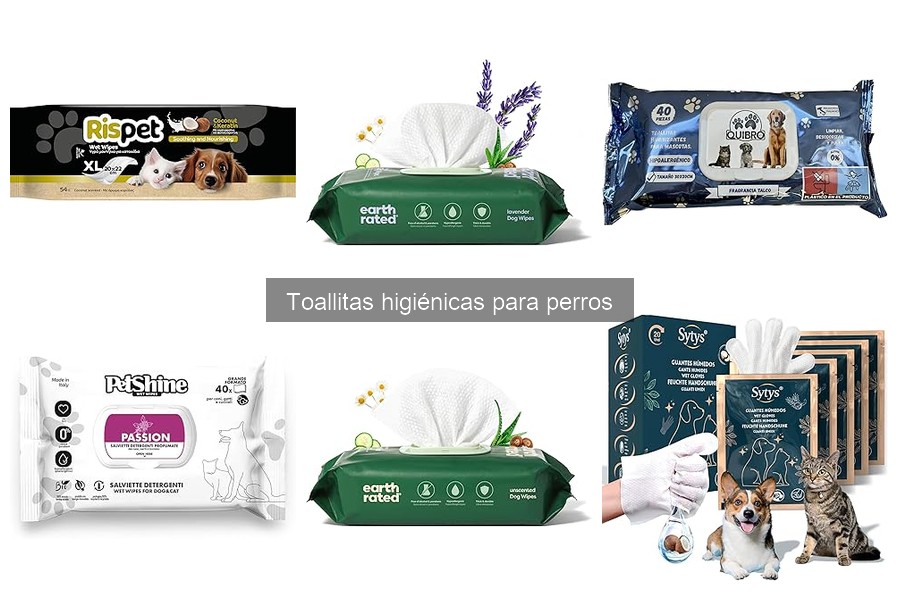 Alternativas efectivas a las toallitas higiénicas para perros