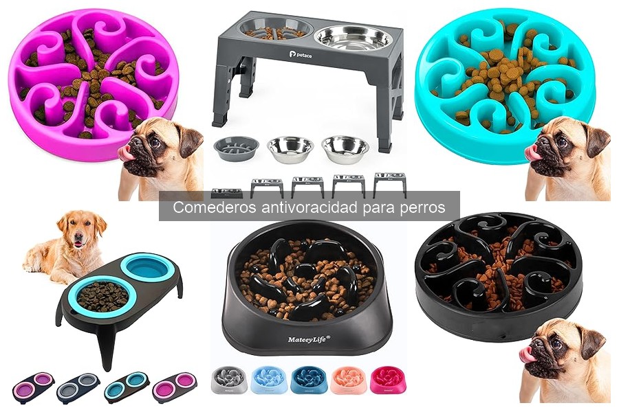 Alternativas efectivas a los comederos antivoracidad para perros