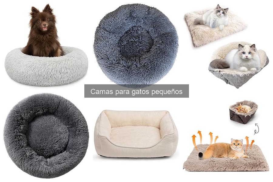 Alternativas innovadoras a camas para gatos pequeños