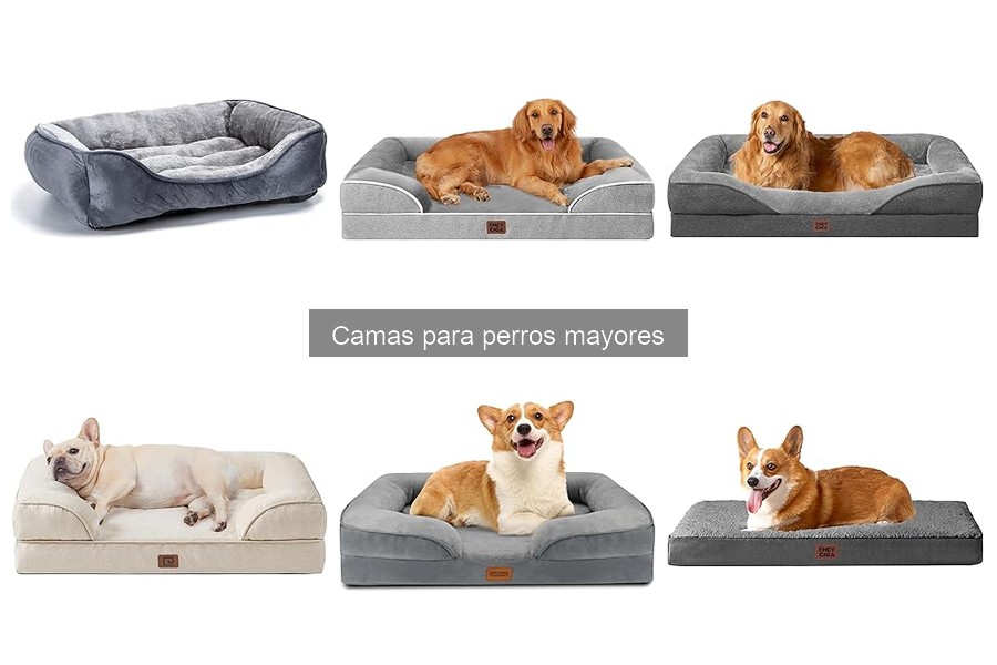 Alternativas Innovadoras a Camas para Perros Mayores