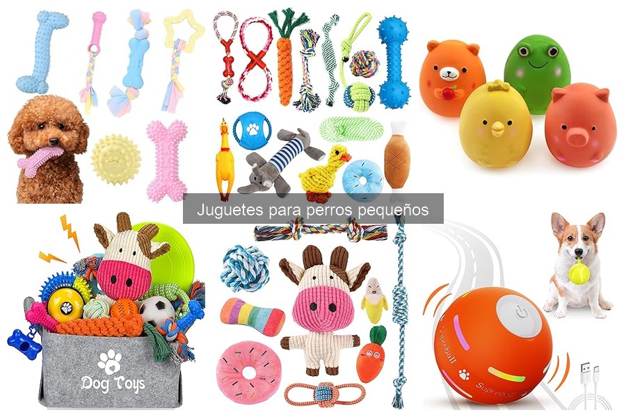 Alternativas innovadoras a juguetes para perros pequeños