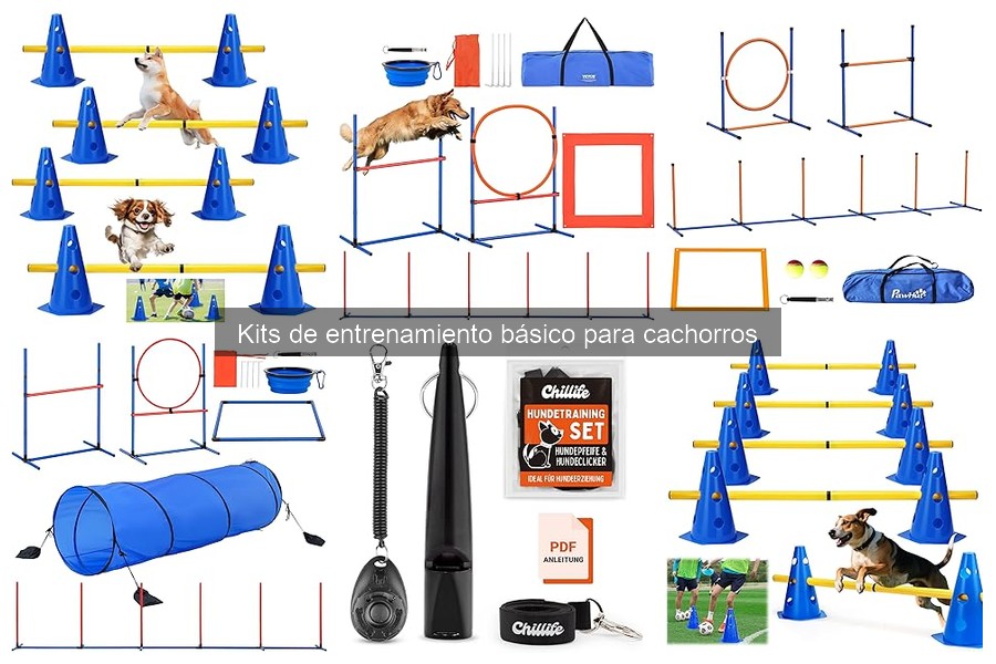 Alternativas Innovadoras a Kits de Entrenamiento para Cachorros