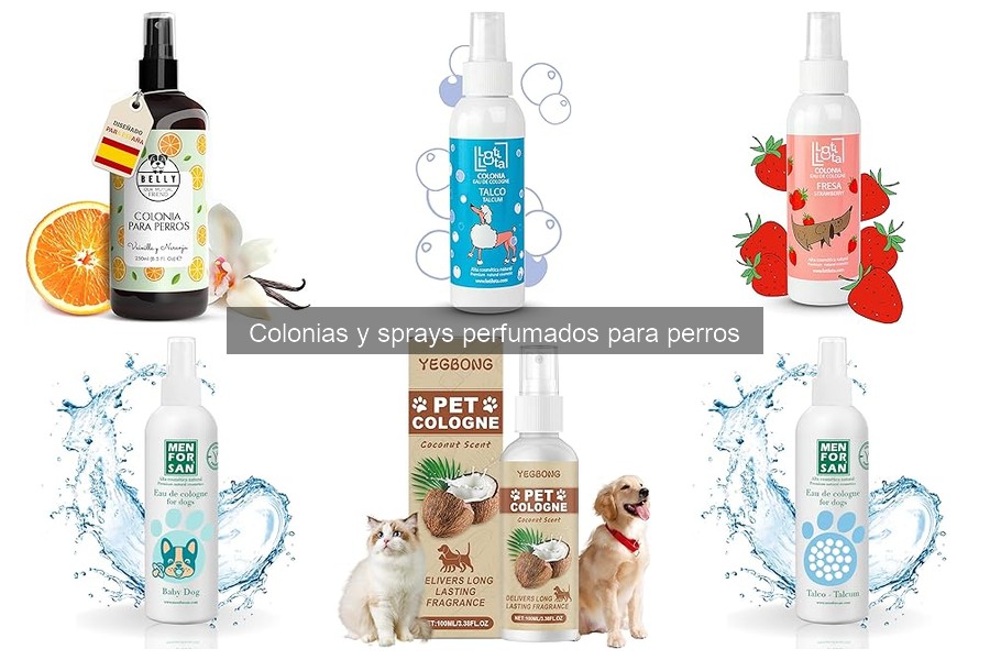 Alternativas naturales a colonias y sprays para perros