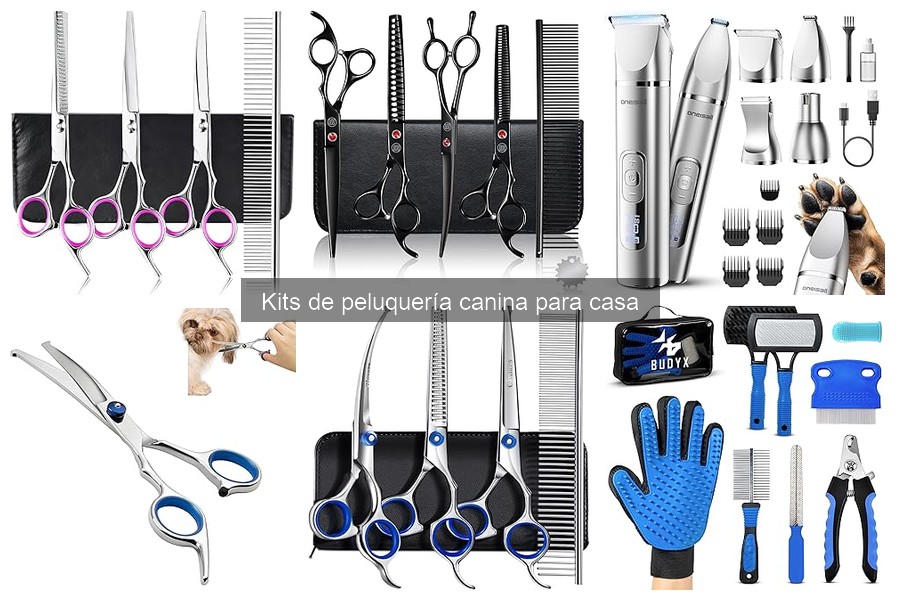 Alternativas si mi perro no se adapta a un kit de peluquería