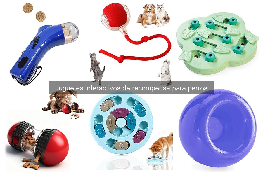Análisis de precios de juguetes interactivos para perros
