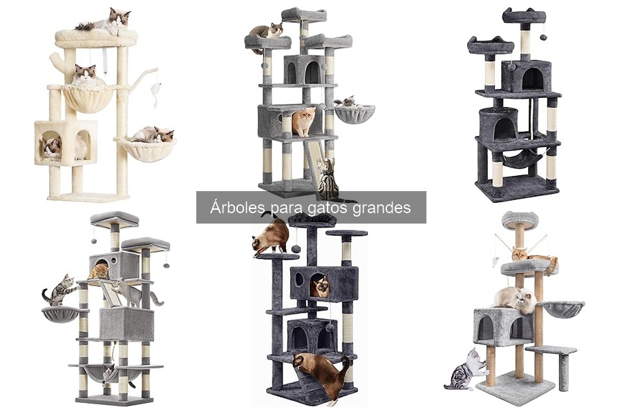 Árboles para gatos grandes: Beneficios y características esenciales