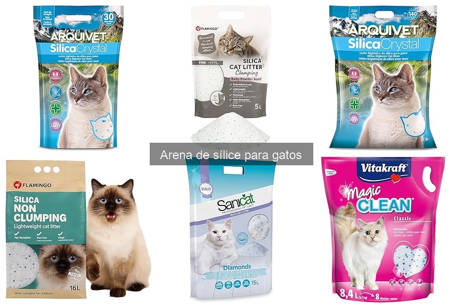 Arena de sílice para gatos: ¿es segura para gatos con asma?