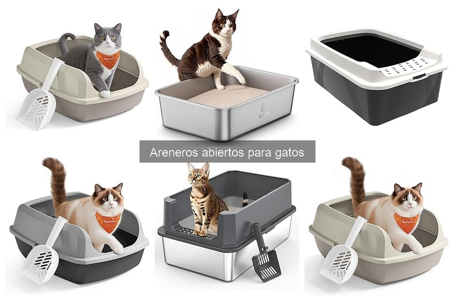 Areneros Abiertos para Gatos: Mejores Opciones por Raza