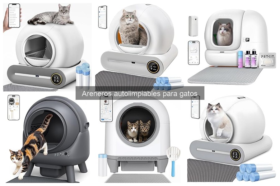 Areneros Autolimpiables para Gatos Grandes: Mejores Opciones