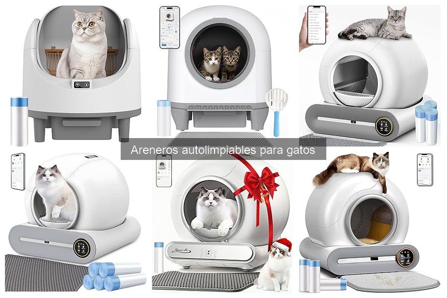 Areneros autolimpiables: ¿Son buenos para gatos ancianos?