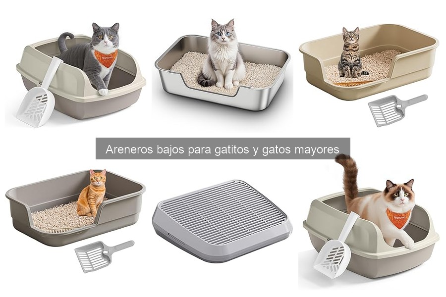 Areneros bajos para gatos: características y beneficios