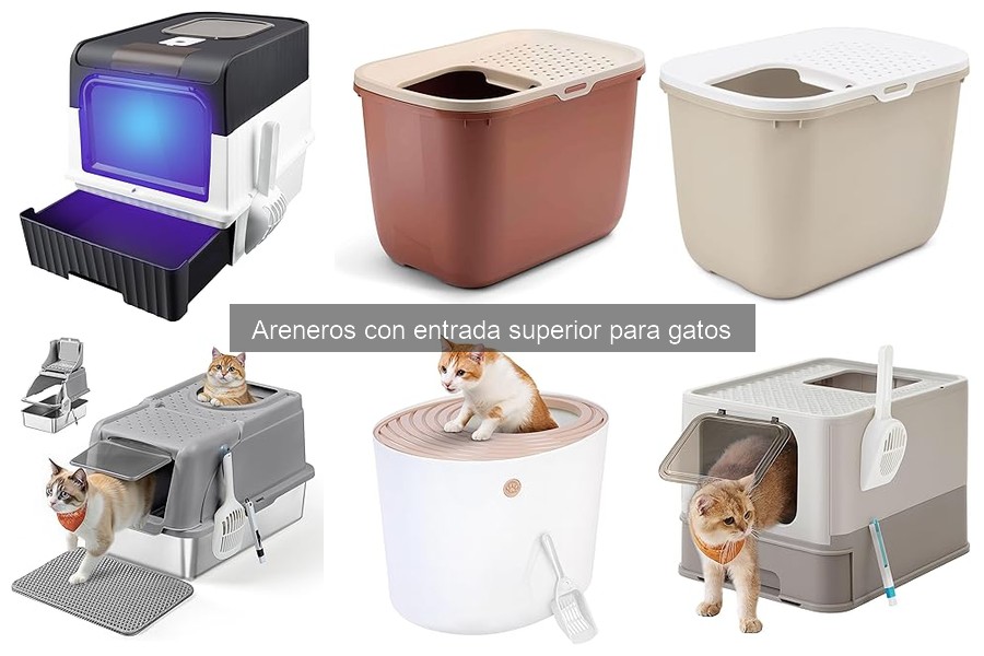 Areneros con entrada superior a buen precio: dónde comprar