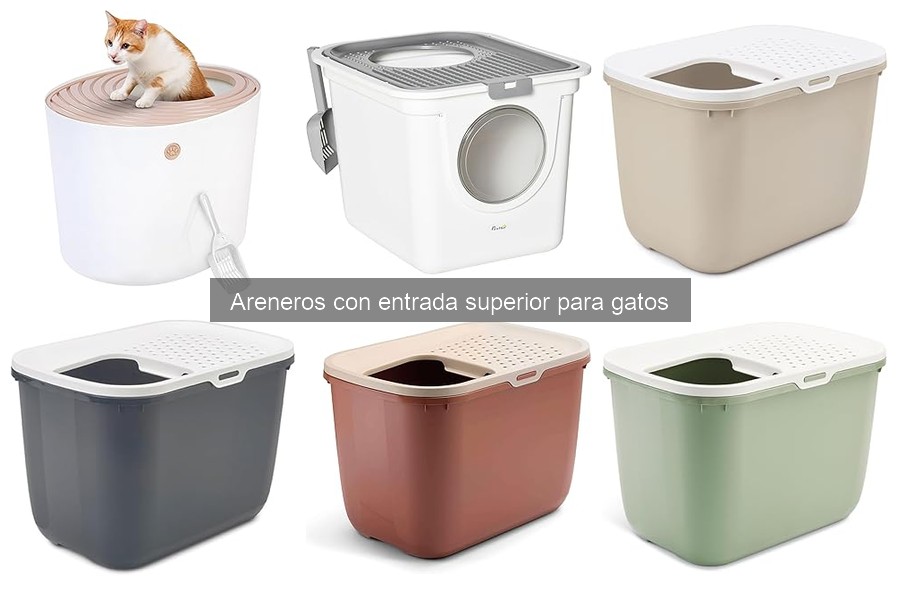 Areneros con Entrada Superior para Gatos: ¿Qué Son y Cómo Funcionan?