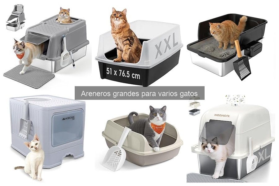 Areneros grandes para varios gatos: características y beneficios