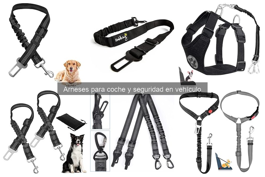 ** Arnés de coche asequible y de calidad para perros