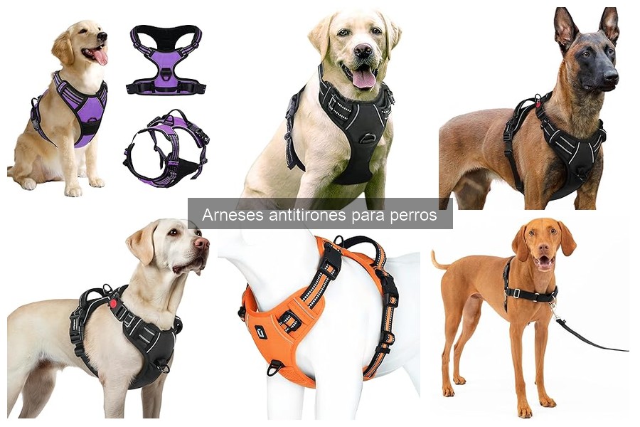 ¿Arneses antitirones sirven para perros pequeños?