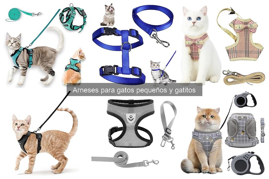 Arneses para gatos pequeños vs. collares: ¿cuál elegir?