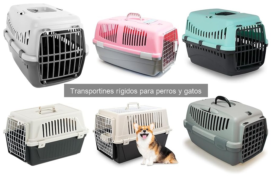Aspectos Clave para Volar con Transportines Rígidos de Mascotas