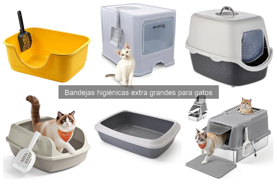 Bandejas Higiénicas Extra Grandes para Gatos: ¿Qué Son y Beneficios?