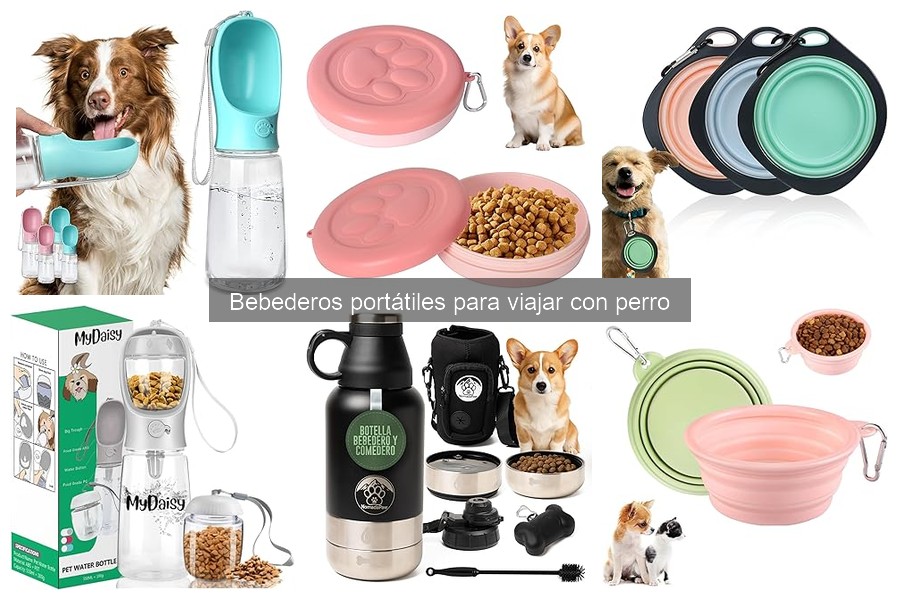 Bebederos Portátiles para Perros: ¿Qué Son y Cómo Usarlos?