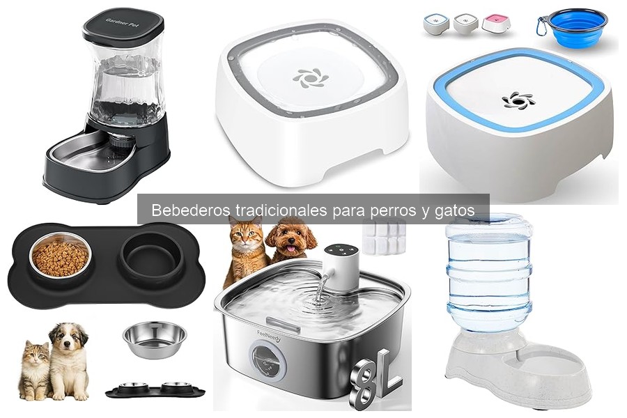 Bebederos tradicionales para perros y gatos: características y ventajas